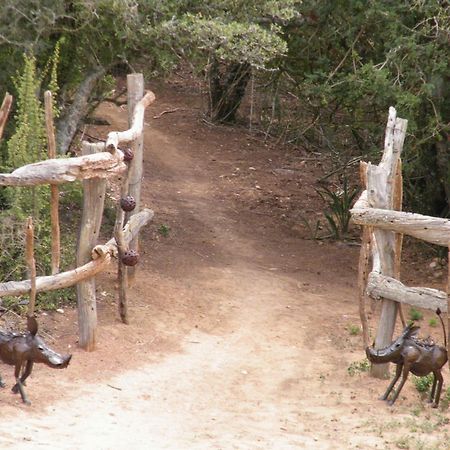 Addo Dung Beetle Guest Farm 빌라 외부 사진