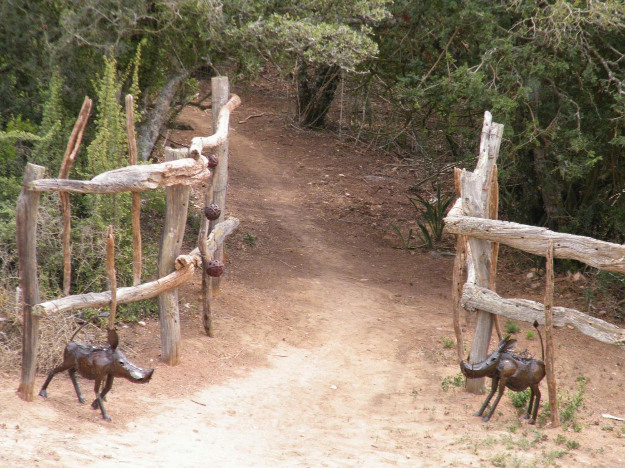 Addo Dung Beetle Guest Farm 빌라 외부 사진
