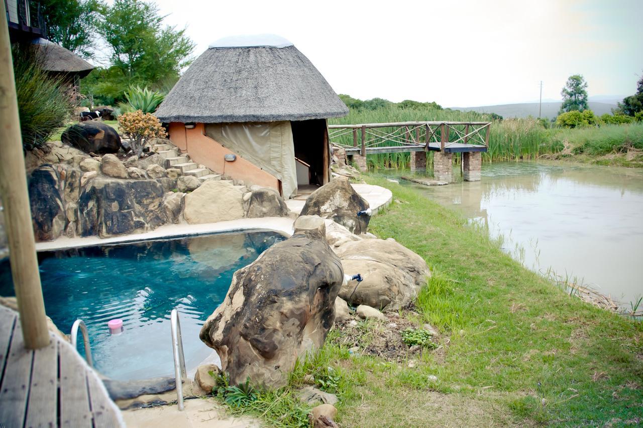 Addo Dung Beetle Guest Farm 빌라 외부 사진