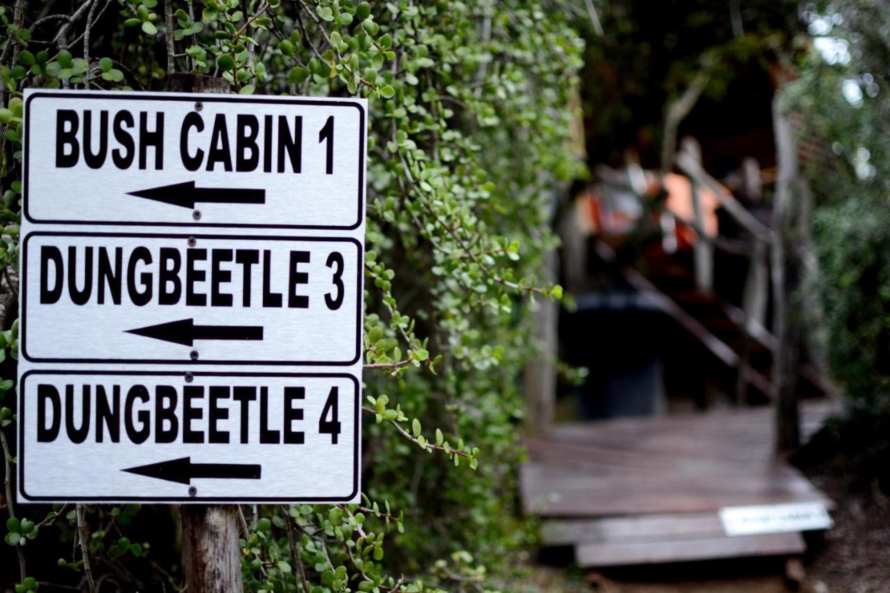 Addo Dung Beetle Guest Farm 빌라 외부 사진